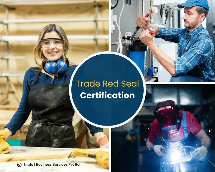 Trade-Red-Seal-Certification