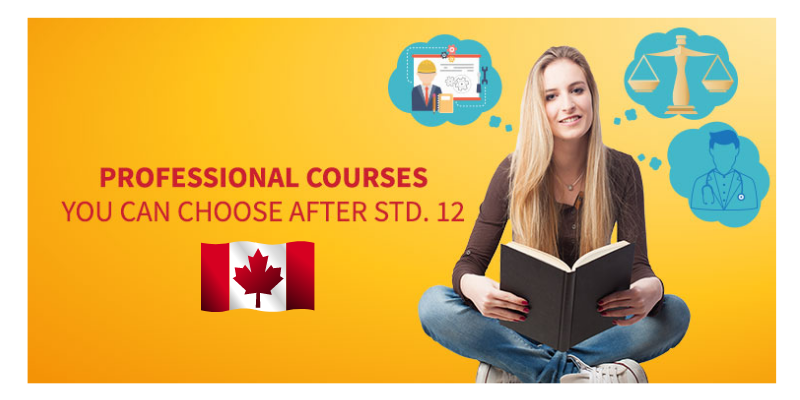 best courses to choose after 12th