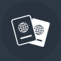 visa-icon